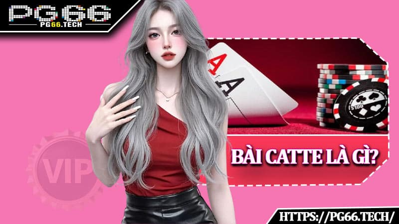 Bài Catte Là Gì