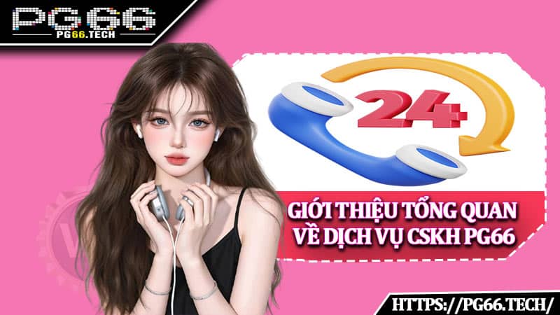 Giới thiệu tổng quan về dịch vụ Liên hệ PG66