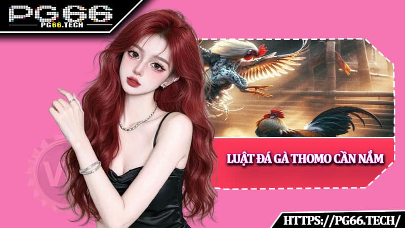 Luật Đá Gà Thomo cần nắm