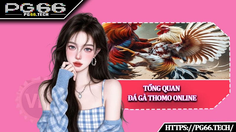 Tổng quan Đá Gà Thomo Online