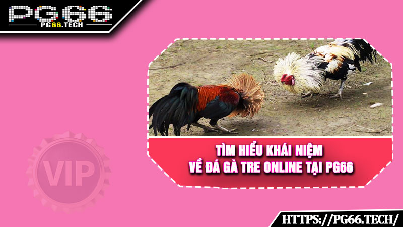 Tìm hiểu khái niệm về đá gà tre online tại PG66