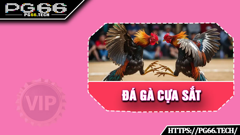 Đá Gà Cựa Sắt